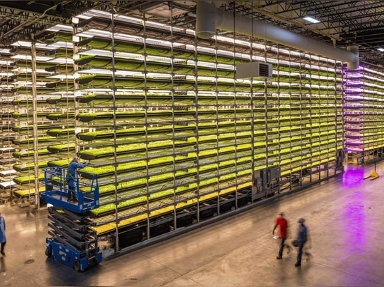 AeroFarms says it is the commercial leader in fully-controlled indoor vertical farming with 390 times greater productivity per square foot annually compared to traditional field farming while using...