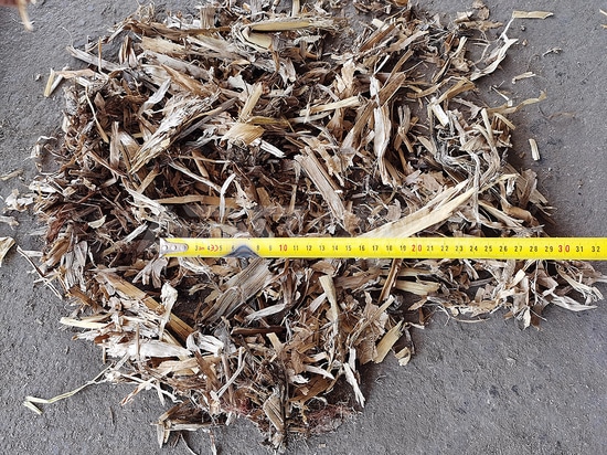 Shredding straw with industrial shredder