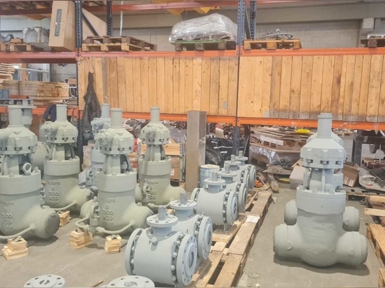 Pressure seal gate valve