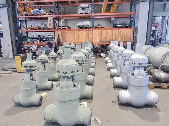 Successful delivery of valves for Kangan Olefin Project