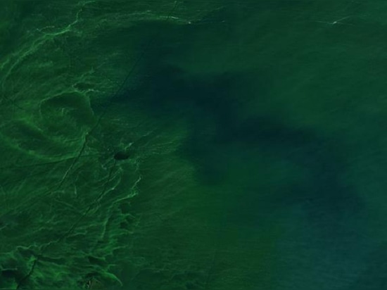 A massive cyanobacteria outbreak in Lake Erie