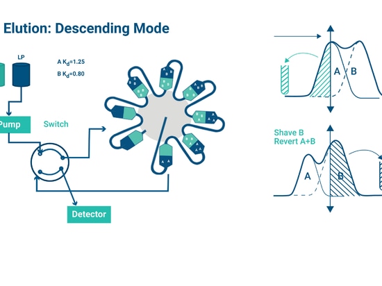 Continuous Purification: A Step-Up From Batch Processing