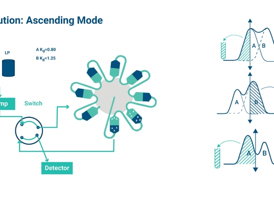 Continuous Purification: A Step-Up From Batch Processing