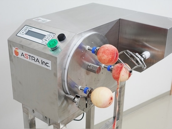 Revolutionize Peach Peeling Machine!