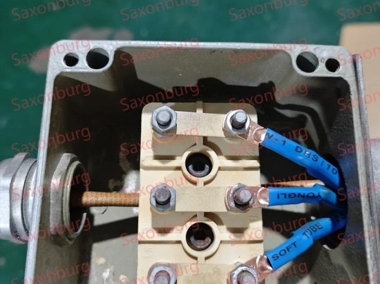 Saxonburg丨Immersion Heater Repair Process