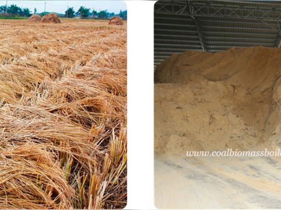 Biomass Fuel Boiler Operation and Monitoring: Ensuring Efficiency and Reliability