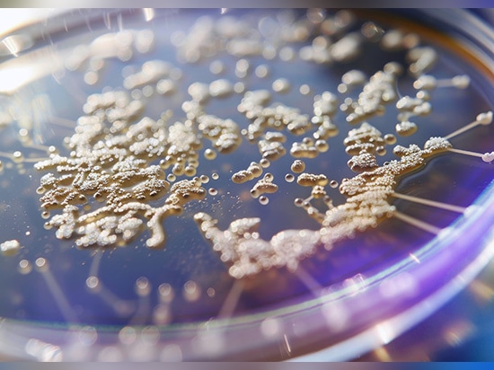 A leading university research lab uses Zygo™ Optical Profilers for faster, more detailed  biofilm insights