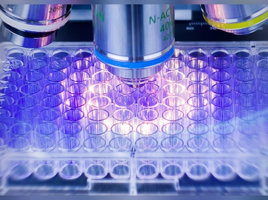 A leading university research lab uses Zygo™ Optical Profilers for faster, more detailed  biofilm insights