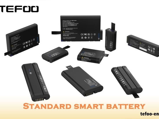 Choosing TEFOO's smart battery packs
