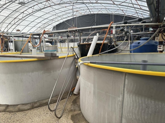 Application Case of Aquaculture in Korean