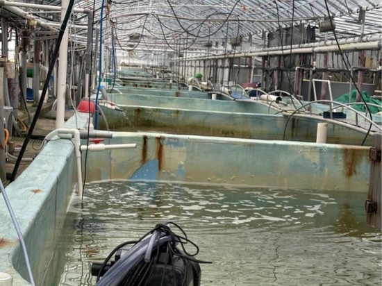 Application Case of Aquaculture in Korean
