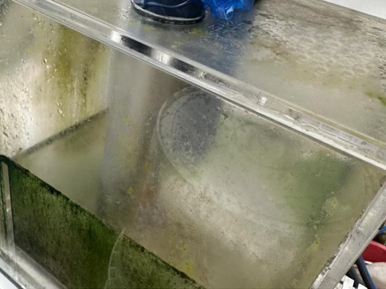 Application Case of Aquaculture in Korean