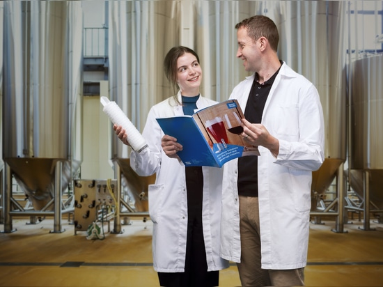 beer filtration experts in production facility