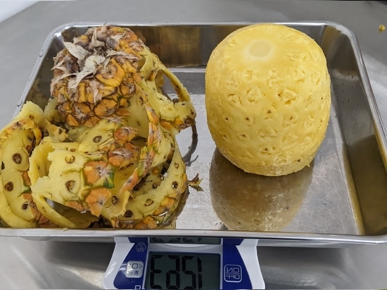Enhance the Value of Your Pineapple with KA-750PM Series
