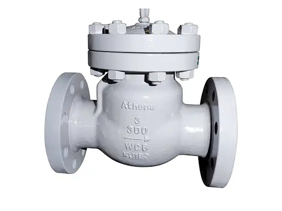 Check Valve
