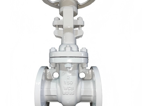 Bi - Directional Valves: Revolutionizing Industrial Fluid Control