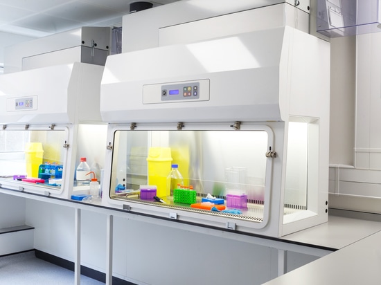 Laminar Air Flow Hoods (LAF)