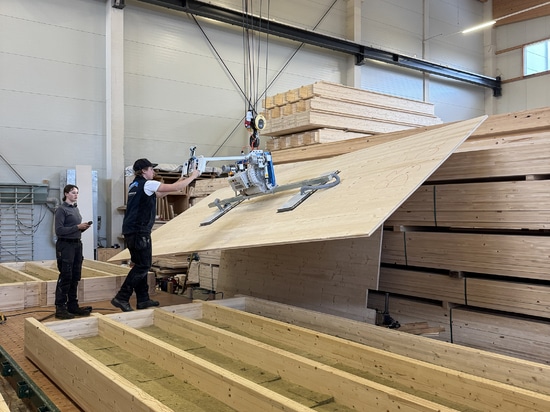 GIS vacuum handling system for overhead travelling crane and slewing crane