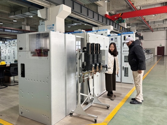 Zambian Client Pays Third Visit to Tianan Electric