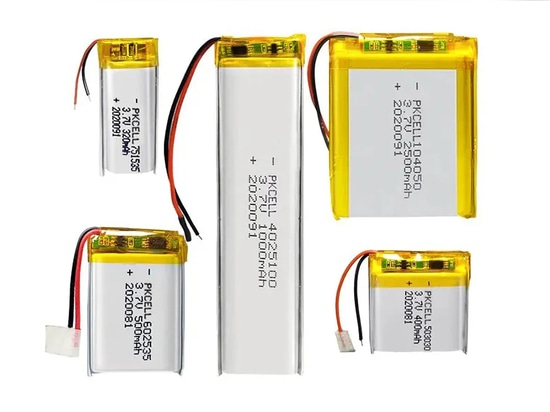 PKCell Solution  combines decades of battery expertise