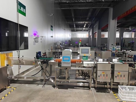 Improving Food Safety and Weight Control with the General Measure CW-3K Checkweigher with Metal Detector