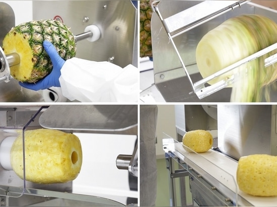 Peeling Perfected: How Frutas Eloy Scaled Operations with Astra’s FAP-3000