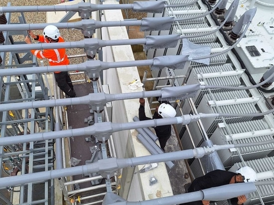 A turnkey bird protection solution.