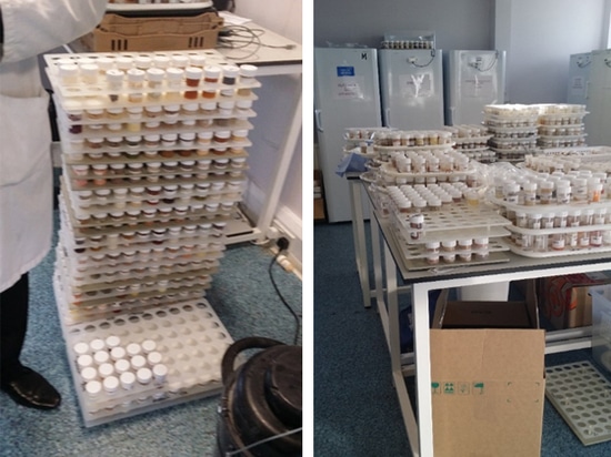 Samples are waiting to be tested, one of the most busy food lab in U. K.