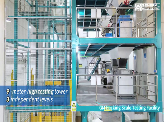 General Measure Packing Scale Test Platform: Setting a New Benchmark in ...