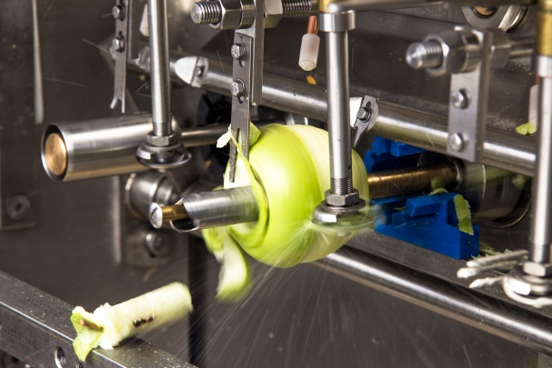 PND Fruit Processing Machinery Photo 2