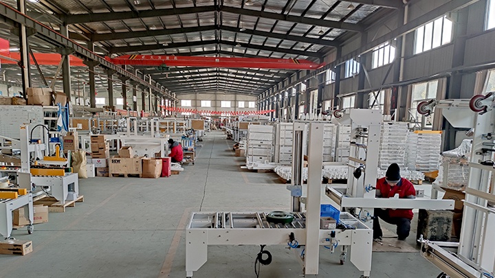 Qingdao Ausense Packing Equipment Co., Ltd. Photo 1