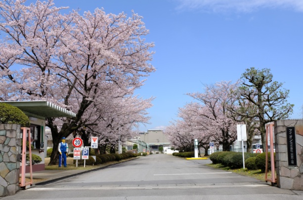 Aion Co., Ltd. Photo 1