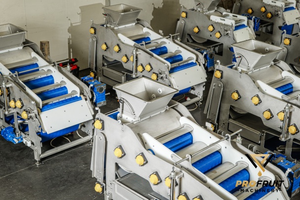 ProFruit Machinery Photo 3