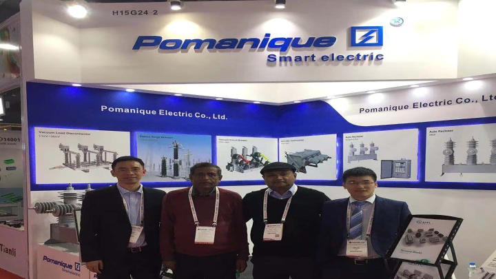 Pomanique Electric Photo 2