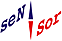 NPP SENSOR LLC