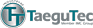 TAEGU TEC España