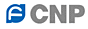 Nanfang Pump joint stock limited company