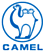 CAMEL GROUP CO., LTD