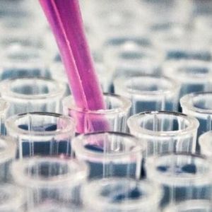 製薬産業用添加剤