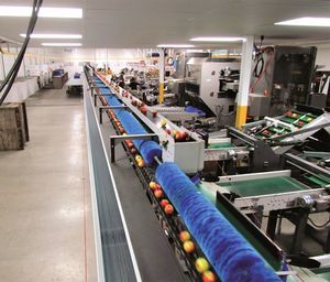 食品産業用選別機