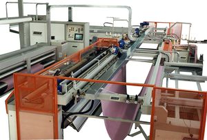 トランスバサルへミングラン