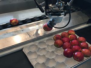 マルチプロダクト用パッケージング ライン