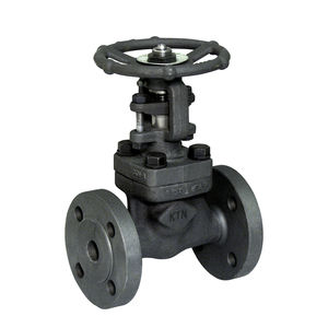 グローブバルブ 1