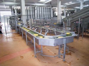 チーズの塩漬け装置