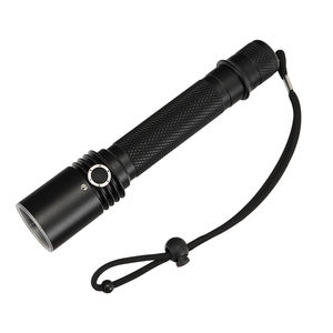 LED懐中電灯