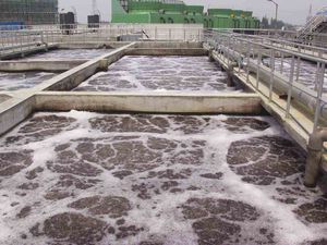 生物学下水処理場