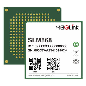 データトランスミッション用ワイヤレスモジュール 1