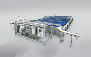 チ,ズ用塩水注入器