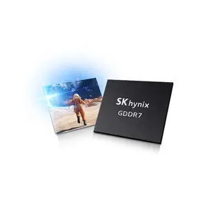 メモリ モジュール - H56G42AS4DX014 - SK hynix