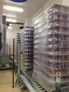 食品産業用パッケージング ライン